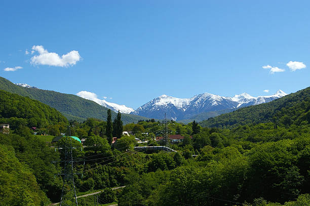 Snow peak, forest and village stock photo