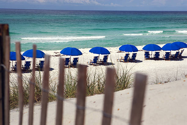 istock Beautiful day at the beach 148226488