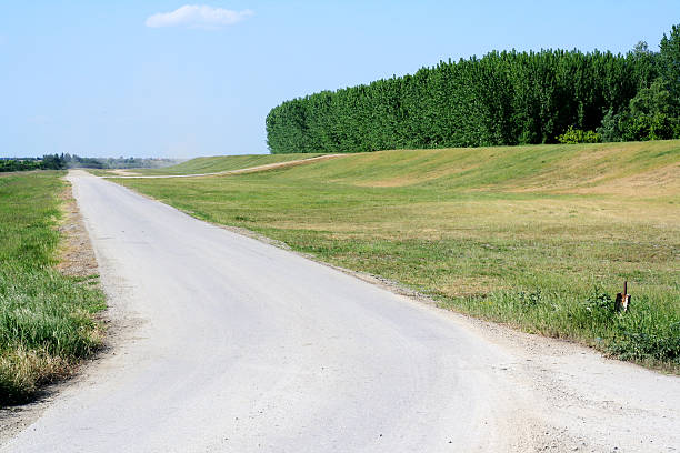 scena di paese - road trip country road roadside rural scene foto e immagini stock