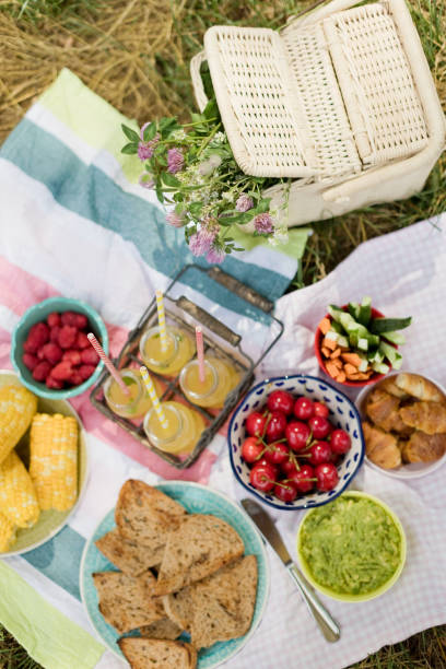 istock Picnic with food in the park 1482265620