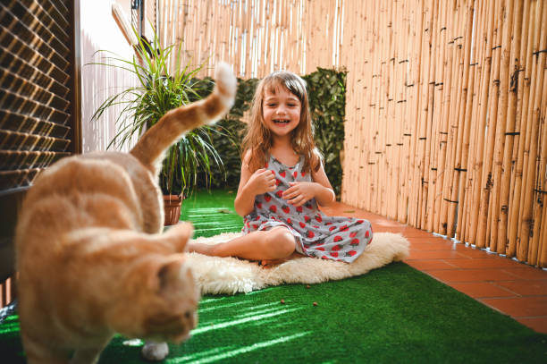Child girl and fluffy gray cat in backyard garden