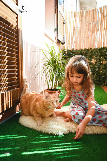 istock little girl playing with a ginger cat outdoors in a balcony. 1482266607