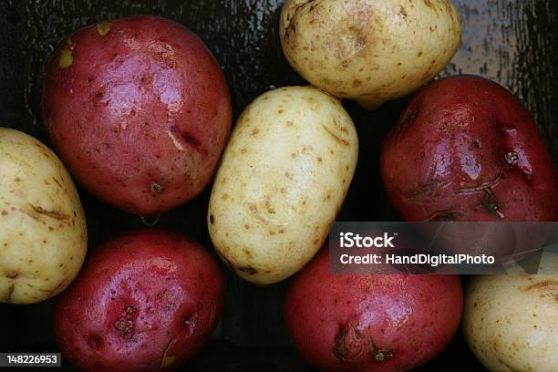Batatas - Fotografias de stock e mais imagens de Batata vermelha - Batata vermelha, Vermelho, 2000-2009