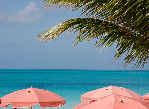 Pink umbrellas on beautiful beach at Providenciales island in Turks and Caicos