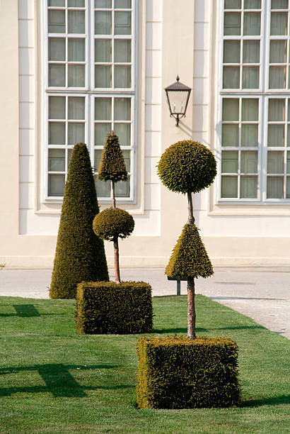 istock Belvedere Palace park, Vienna 148227161