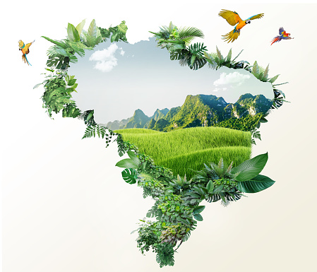 Brazil map with abstract beautiful nature, amazon jungle design, empty space in middle of jungle, 3d illustration of landscape advertisement.