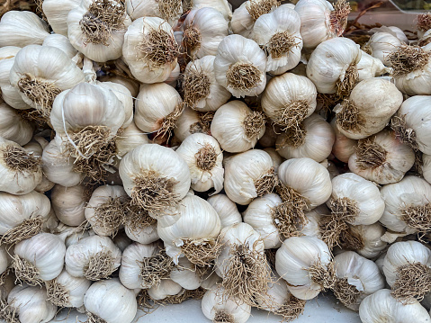 Pile of dry heads of garlic. Vitamin healthy food spice image. View from the top.
