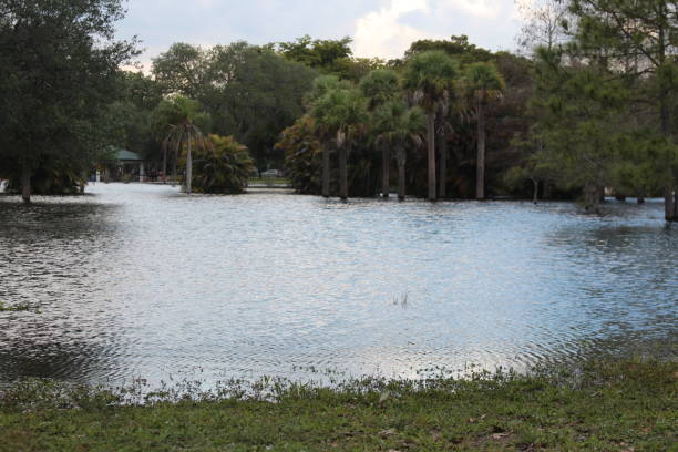istock South Florida Flooding Hurricane Season 1482273894