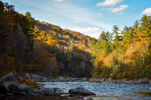 펜실베니아주 ohiopyle의 youghiogheny 강을 따라 펼쳐지는 단풍 - autumn sky blue treetop 뉴스 사진 이미지
