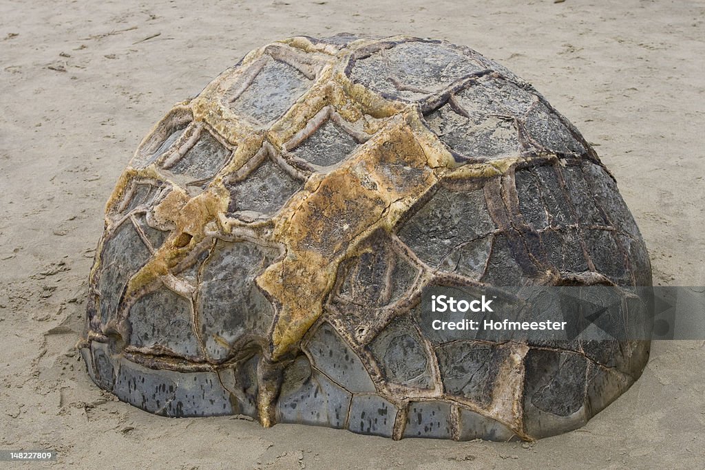 Moeraki boulder - Foto de stock de Arena libre de derechos