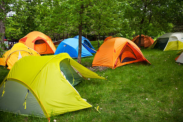 istock Camping site full of different color tents 148228116