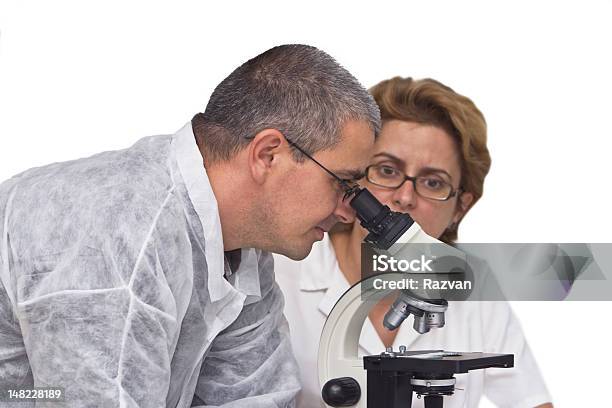 Researchers Stock Photo - Download Image Now - Activity, Adult, Analyzing