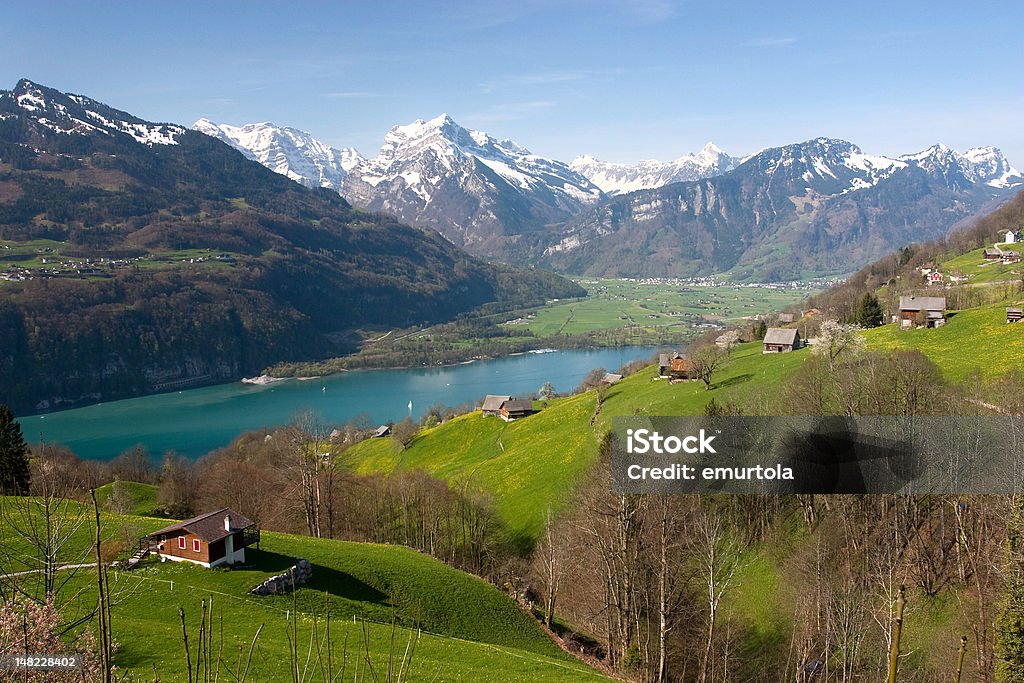 スイスの春の風景 - スイスのロイヤリティフリーストックフォト