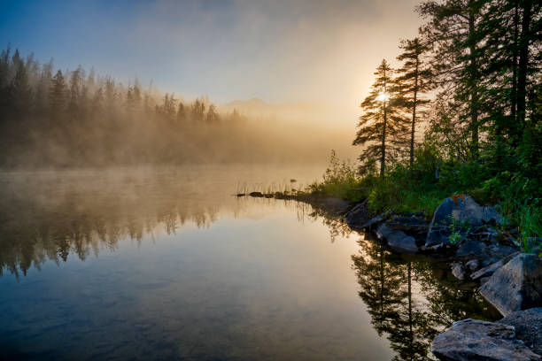 istock Jasper National Park in Alberta Canada 1482285581