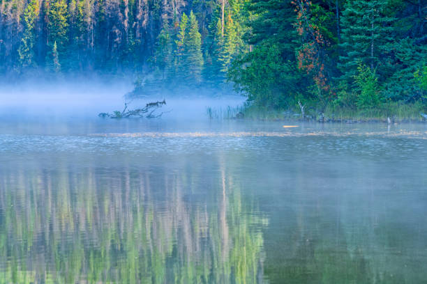 istock Jasper National Park in Alberta Canada 1482285638