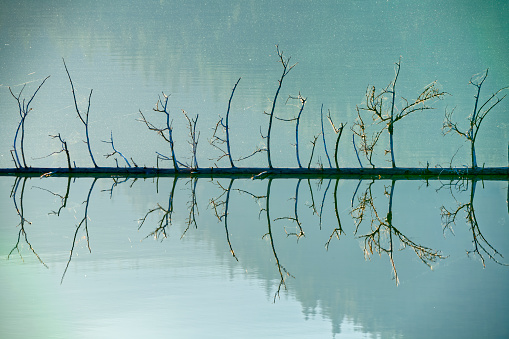 White clouds reflected in the beautiful emerald green pond of Maruike Park