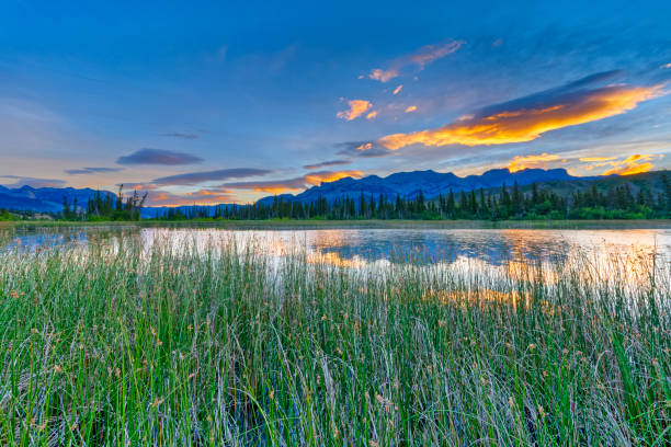 istock Jasper National Park in Alberta Canada 1482285816