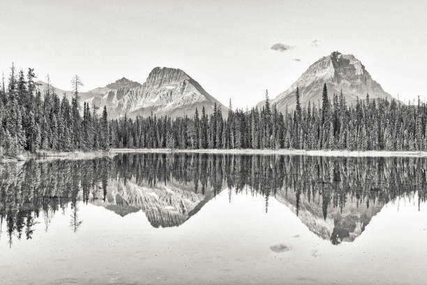 istock Jasper National Park in Alberta Canada 1482285827