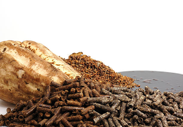 Sugar Beet ByProducts stock photo