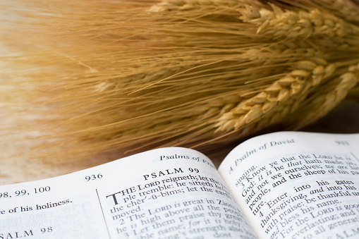 Bible with shaft of wheat.  Various scriptures featured  in open Bible images.