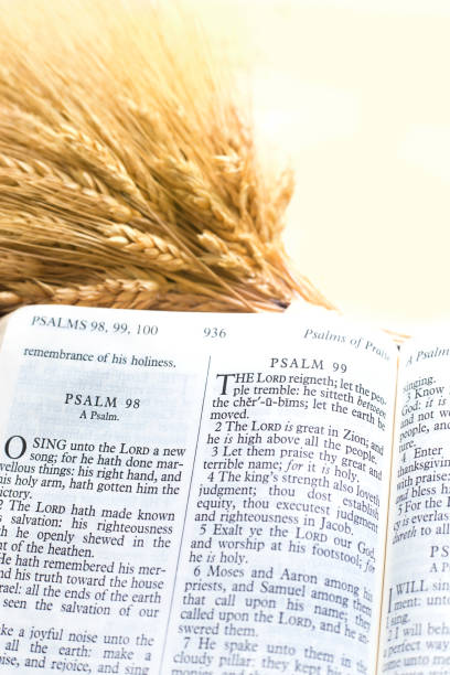 istock Bible with shaft of wheat.  Various scriptures featured  in open Bible images. 1482286786