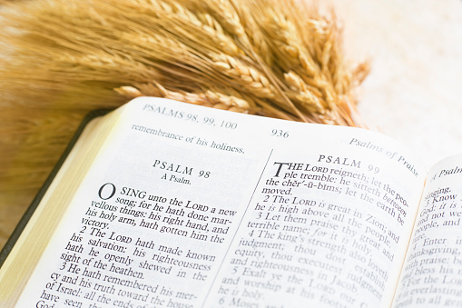 Bible with shaft of wheat.  Various scriptures featured  in open Bible images.