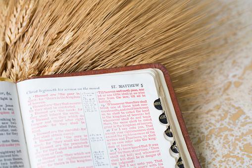 Bible with shaft of wheat.  Various scriptures featured  in open Bible images.