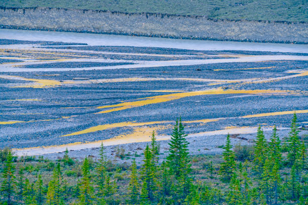 istock Jasper National Park in Alberta Canada 1482286982