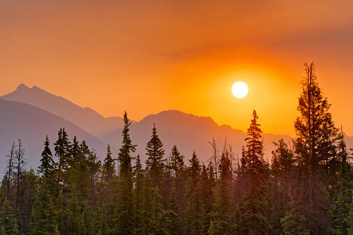 Mountain views along the Athabasca River with sunrise colors amplified by forest fire smoke in Jasper National Park