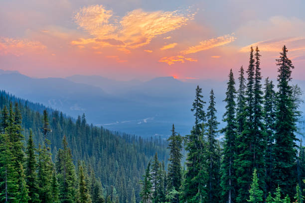 istock Banff National Park in Alberta Canada 1482287159