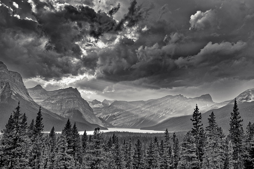 Rocky Mountain views of Hector Lake in Banff National Park