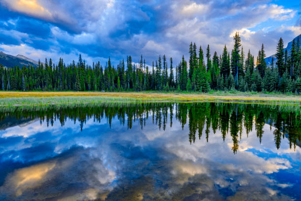 istock Banff National Park in Alberta Canada 1482287184