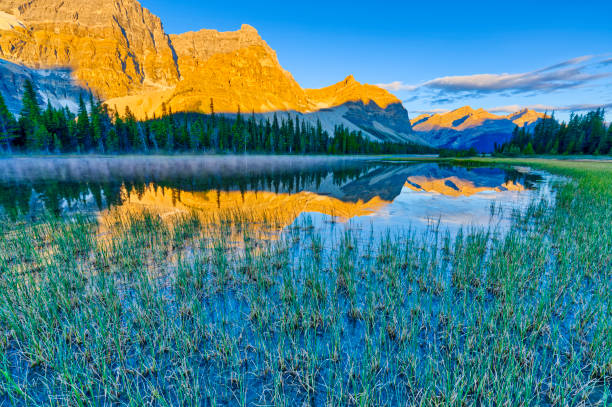 istock Banff National Park in Alberta Canada 1482287206