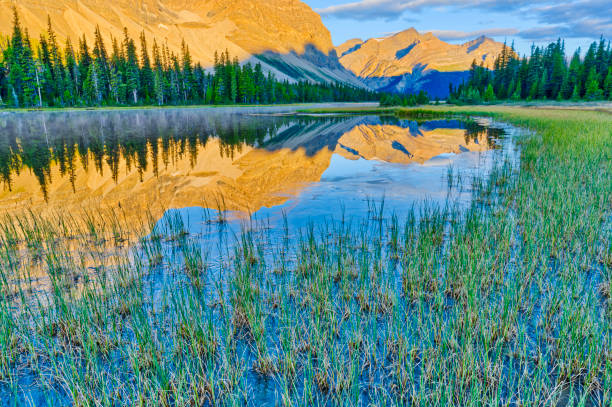 istock Banff National Park in Alberta Canada 1482287210