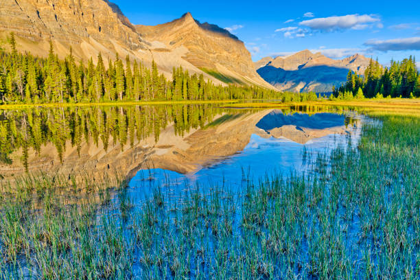 istock Banff National Park in Alberta Canada 1482287237