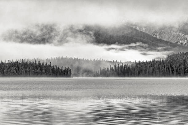 istock Banff National Park in Alberta Canada 1482287403