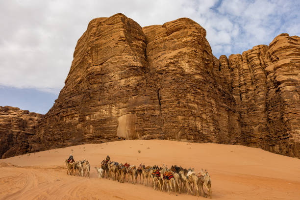 wadi rum, jordan - jordan camel wadi rum arabia stock-fotos und bilder