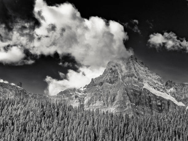 istock Banff National Park in Alberta Canada 1482291002