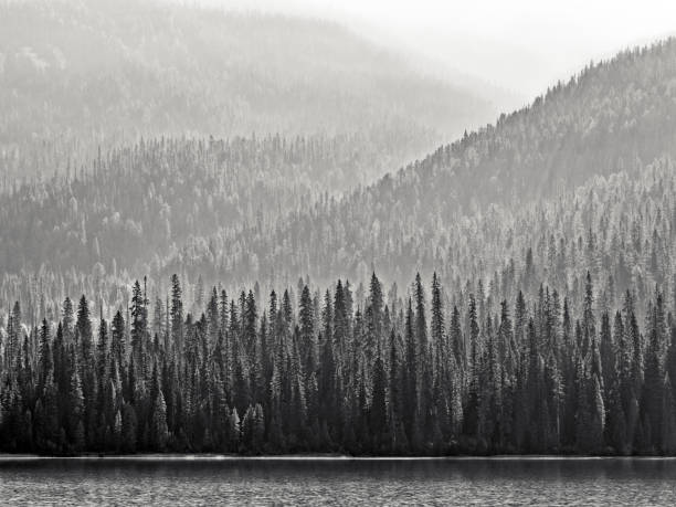 istock Yoho National Park in British Columbia Canada 1482291048