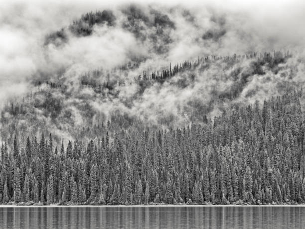istock Yoho National Park in British Columbia Canada 1482291063