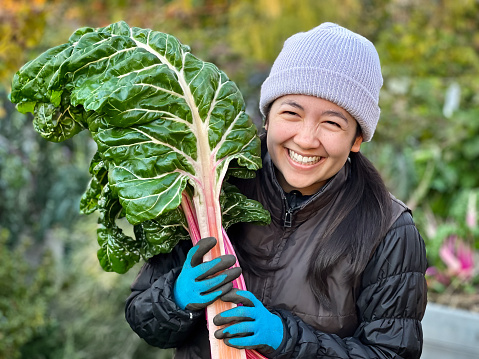 Smiling young Eurasian woman holding freshly harvested chard from homegrown organic garden.  Vancouver, British Columbia, Canada.