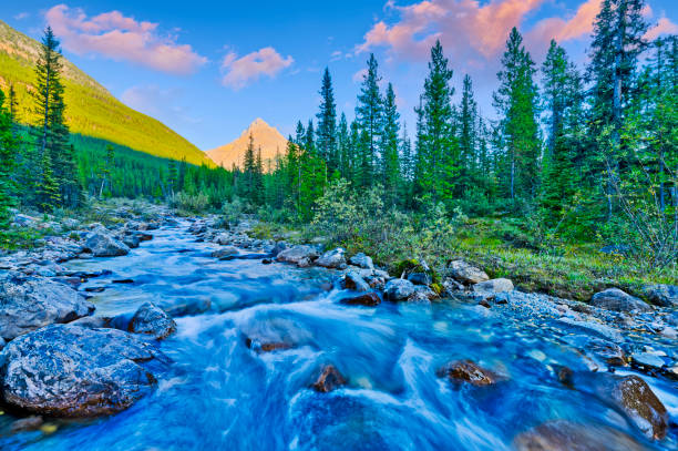 parque nacional banff en alberta, canadá - adventure extreme terrain wilderness area inspiration fotografías e imágenes de stock