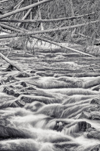 Stream in Yoho National Park in the Canadian Rockies