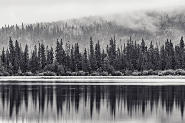 istock Banff National Park in Alberta Canada 1482293922
