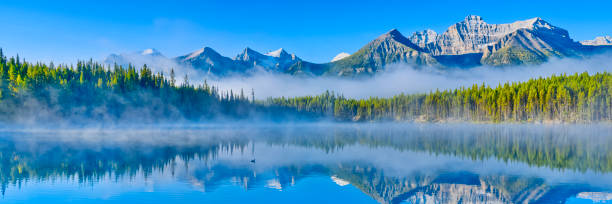 Banff National Park in Alberta Canada Rocky Mountain views of Herbert Lake in Banff National Park canadian rockies stock pictures, royalty-free photos & images