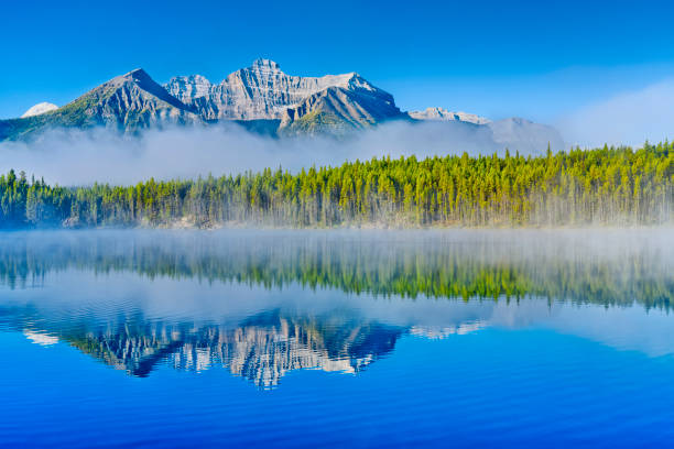 istock Banff National Park in Alberta Canada 1482294500