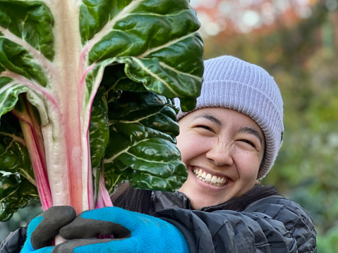 Smiling young Eurasian woman holding freshly harvested chard from homegrown organic garden.  Vancouver, British Columbia, Canada.