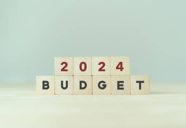 istock 2024 Budget planning and allocation concept. Wooden cube with 