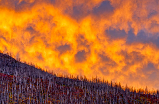 parque nacional waterton en alberta canadá - dawn mountain range mountain canadian rockies fotografías e imágenes de stock