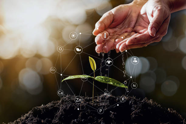 istock farmers hand are watering seedlings on bokeh background 1482300768